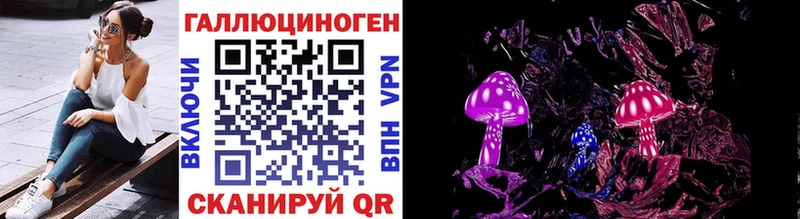 Галлюциногенные грибы Psilocybe продажа наркотиков Омск